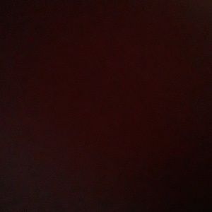 Meet your Posher, Savannah